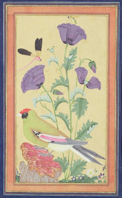 Finch, Poppies, Dragonfly and Bee by Indian School